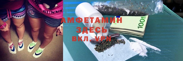 сатива Беломорск