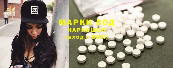 сатива Беломорск