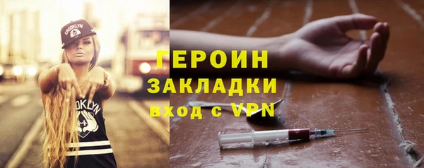 сатива Беломорск