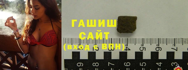 сатива Беломорск