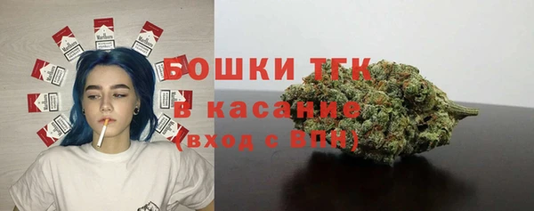 сатива Беломорск