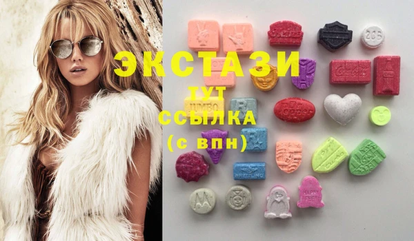 сатива Беломорск