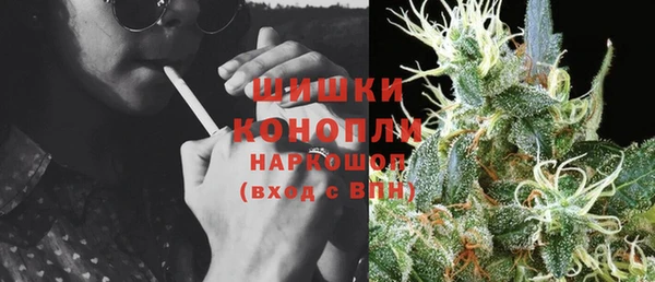 сатива Беломорск