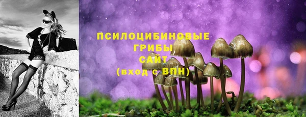 сатива Беломорск