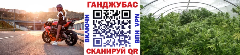 Купить закладки  Данилов  Бошки Шишки сатива 